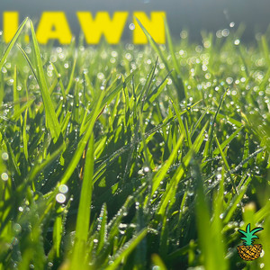 Lawn (Explicit)