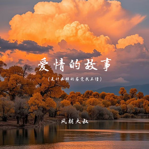 爱情的故事（是什么样的感觉我不懂）封面