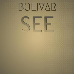 Bolivar See