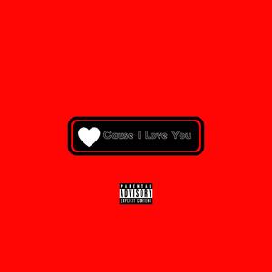 Cause I Love You (feat. La Dixon) [Explicit]