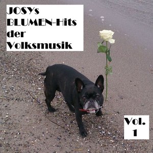 Josys BLUMEN-Hits der Volksmusik, Vol. 1