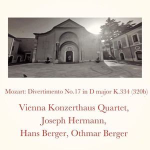 Divertimento no. 17 in D major, K. 334 (320b) - II. Tema con variazioni Andante