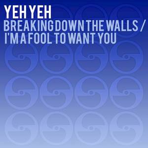 Breaking Down the Walls / I'm a Fool to Want You