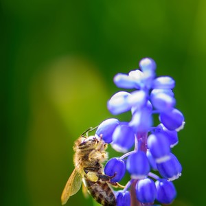 Cinta di Bangku Sekolah