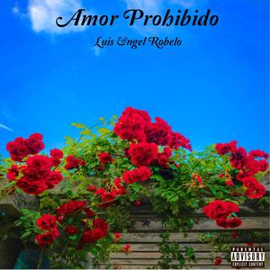 Amor Prohibido (Special Version)