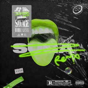 野蛮 (Savage Remix)
