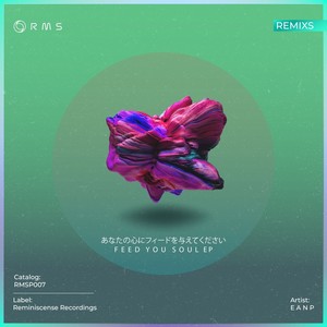 Feed Your Soul (Downtempo Version)