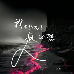 我曾经发了疯的想