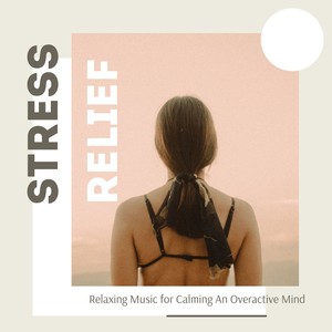 Stress Relief: Relaxing Music for Calming An Overactive Mind