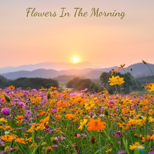 Flowers in the Morning