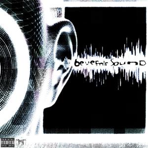 sound (shelovesleek) (Explicit)