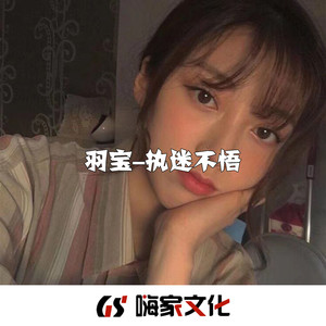Long Nhat (DJ版) - 羽宝封面