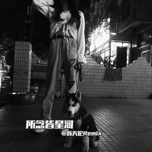 所念皆星河 星河不及你
