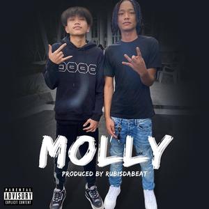 MOLLY (feat. P$L & NTC Youngwerkk) [Explicit]