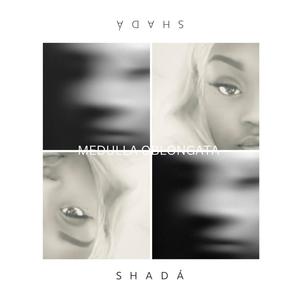 Medulla Oblongata (feat. Tu Money) (Explicit)