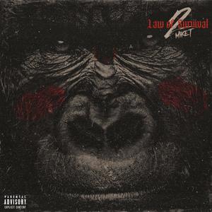 Law of Survival 2 (Explicit)