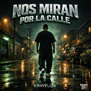 Nos Miran Por La Calle (feat. Santana Producer) (Explicit)