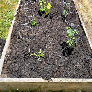 Love note (Explicit)