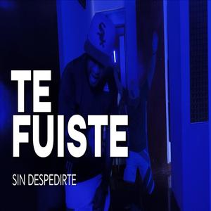Te fuiste sin Despedirte