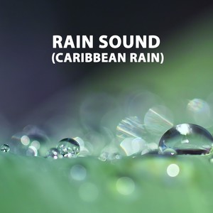 Rain Sound (Caribbean Rain)