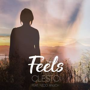 Feels (feat Nico Anuch)