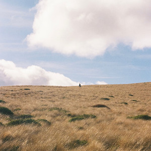 I Hope You'll Be There