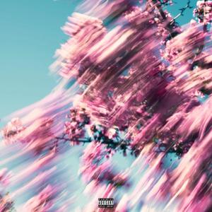 KNOWLEDGE (feat. Oxy Cartz) (Explicit)