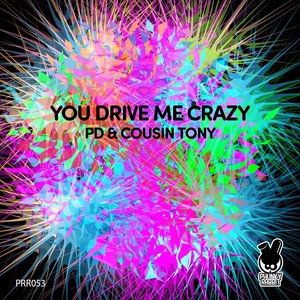 You Drive Me Crazy (Rampus Remix)