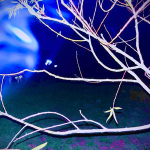 La mort, tout va bien. (Explicit)