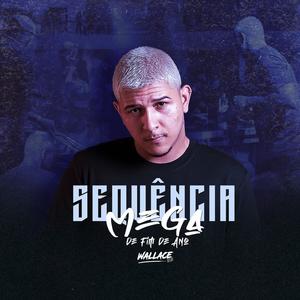 MEGA SEQUÊNCIA FIM DE ANO 2024 (Explicit)