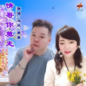 情哥你莫走