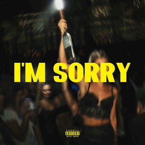 I'm Sorry (Explicit)