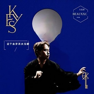这个杀手不太冷静封面
