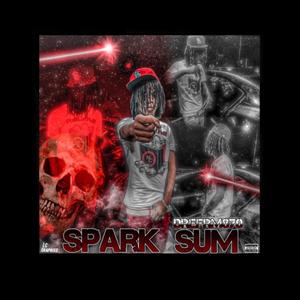 SparkSum (Explicit)