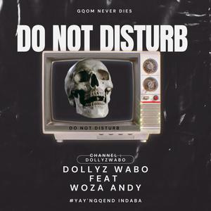 Do not disturb (feat. Woza Andy)