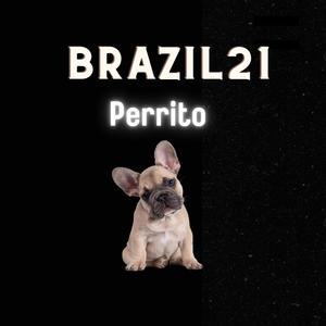 Perrito