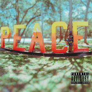 P.O.M. (Peace of Mind) [Explicit]