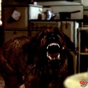 Bone to Pick (Explicit)