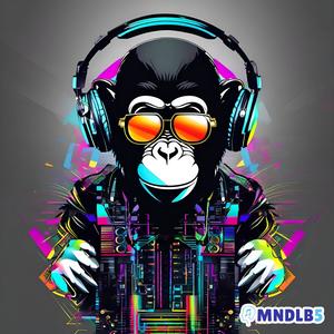 Evolution of the Vibe