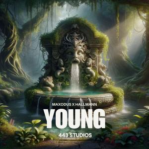 young (feat. Hallmann)