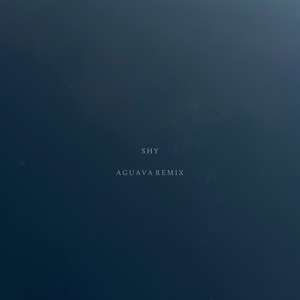 Shy (Aguava Remix)