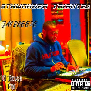 9th Wonder Tribute 2 (Explicit)