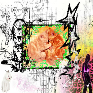 gatacongato (Explicit)