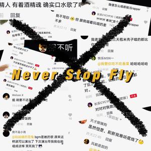 Never Stop Fly