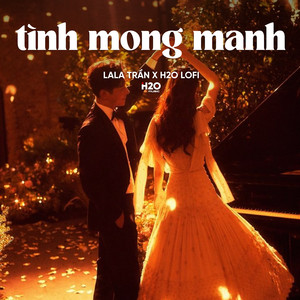 Tình Mong Manh (Lofi)