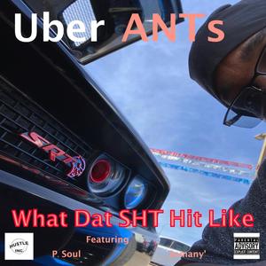 Attempt (feat. P Soul) (Explicit)