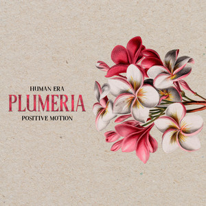 Plumeria