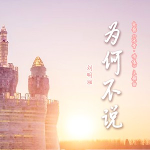 为何不说