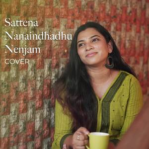 Sattena Nanaindhadhu Nenjam - Cover