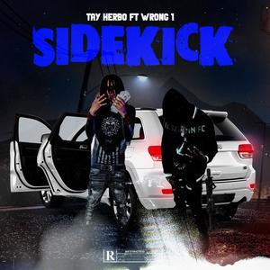 SideKick (feat. Wrong1) [Explicit]